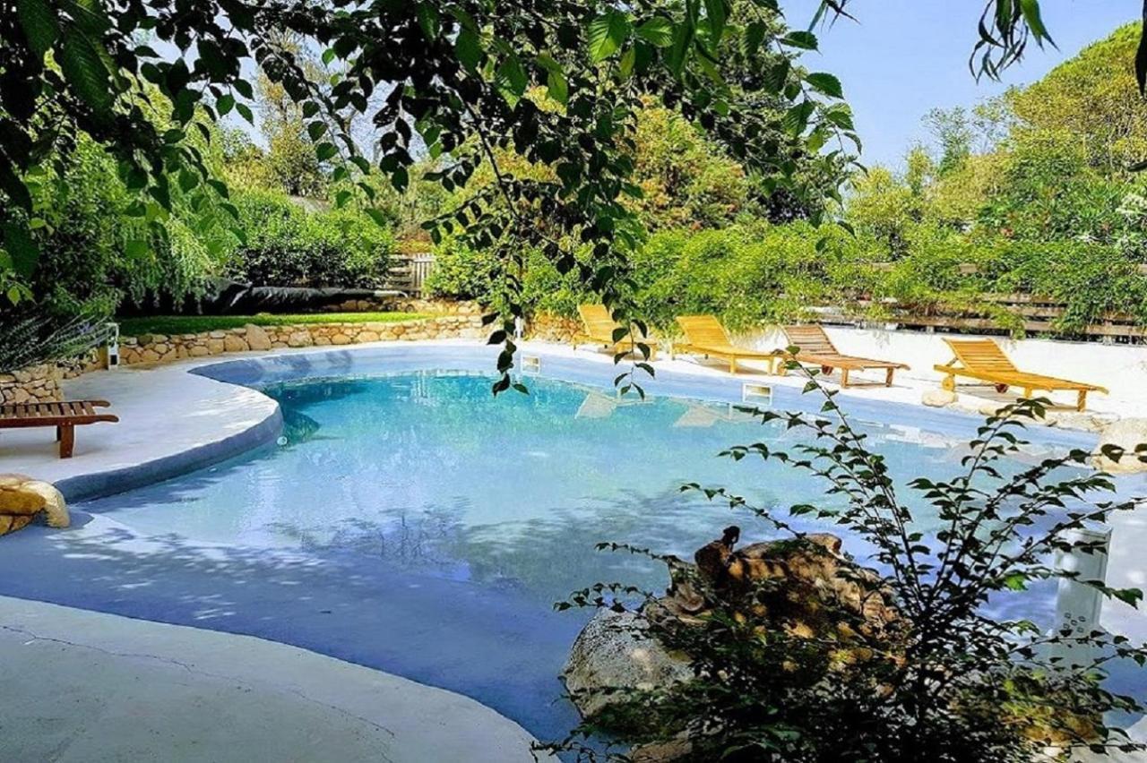 Salvacintoggio -Votre Villa Avec Piscine Privee- Porto-Vecchio (Corsica) Exterior foto